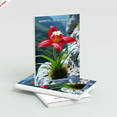 Scarica ora l'E-Book: <br><b> Semetti... di buon senso<br></b> di Gianfranco Flammini